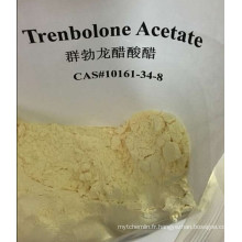 Trenbolone Acétate Tren a Finaplix Trenbolone Acétate 10161-34-9